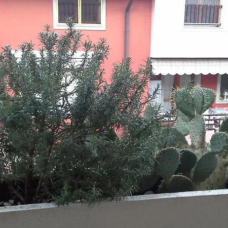Vento D'estate *
